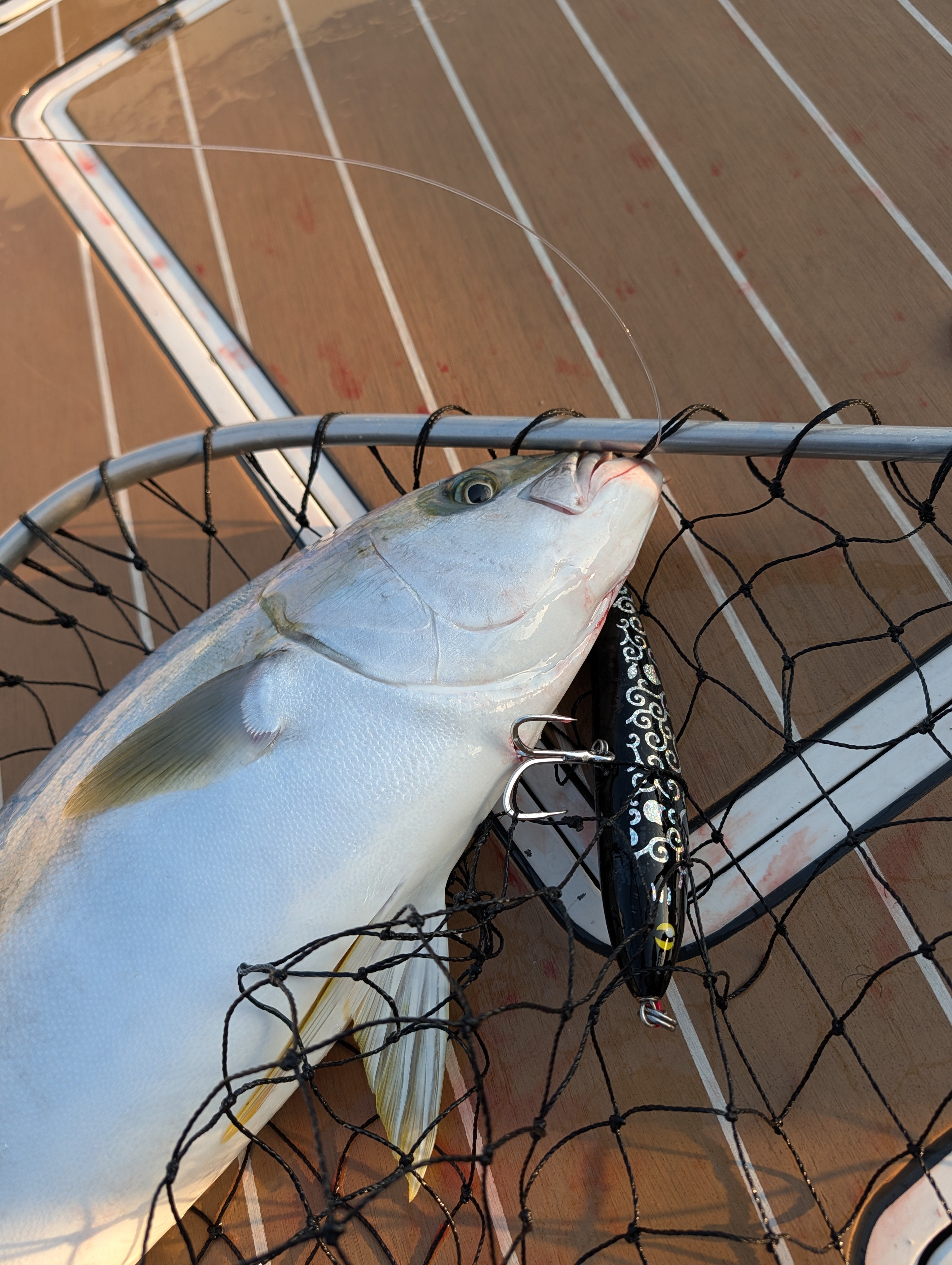 デブネコ Morimeiworksが「ZOMBCATS STORY」シリーズ最新作「末日デブ猫