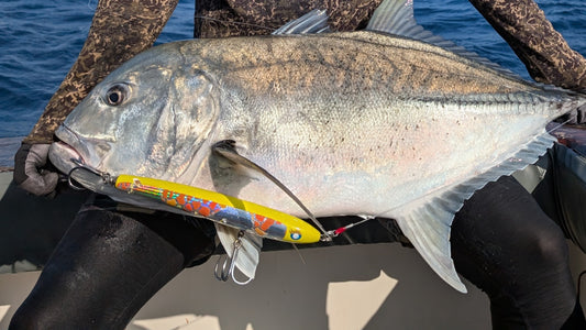 KIRIN 270 | キリン 270