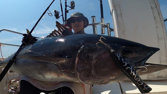 Koinobori Popper 200 | コイノボリポッパー200