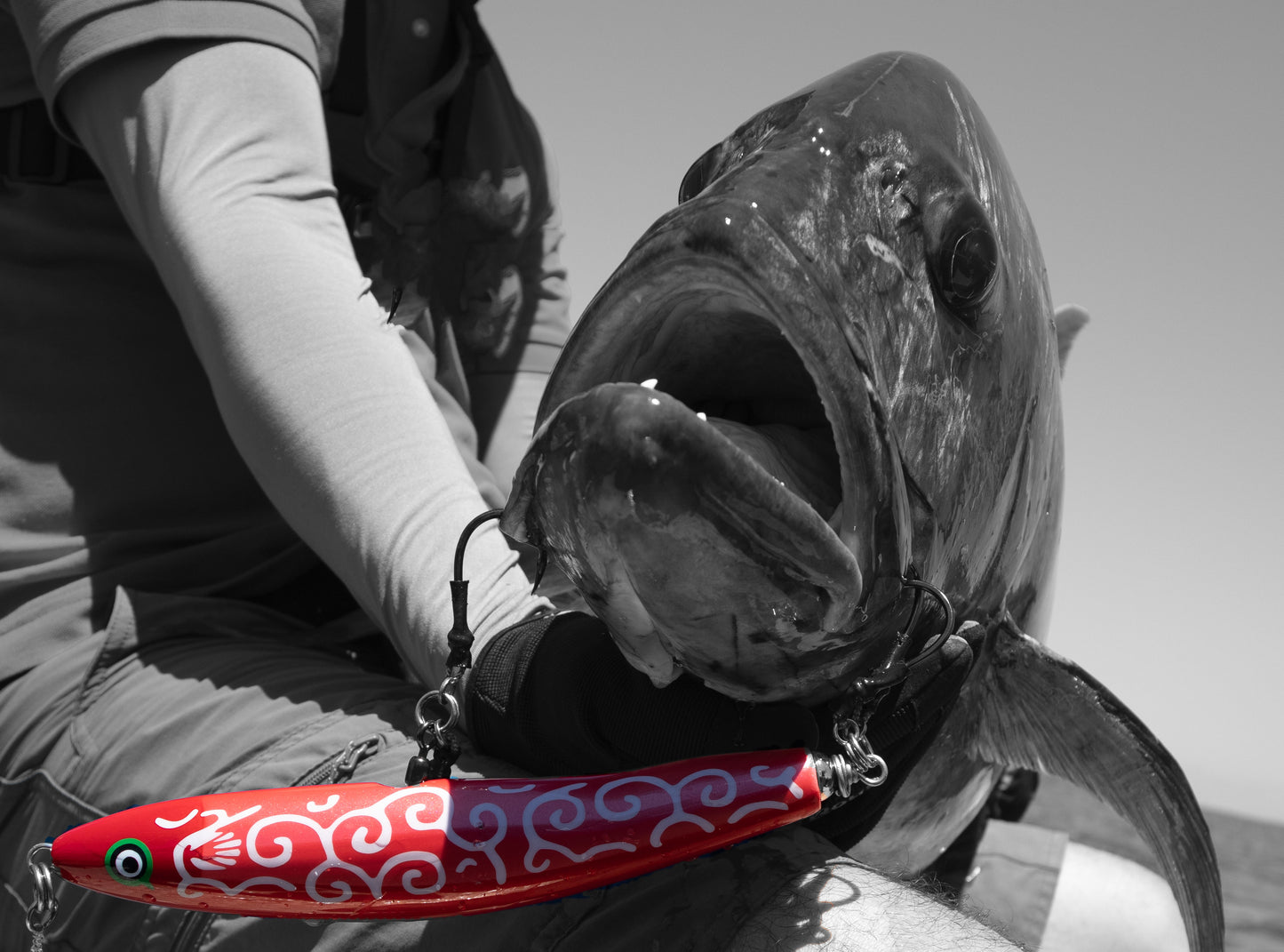 Koinobori 200 | コイノボリ200