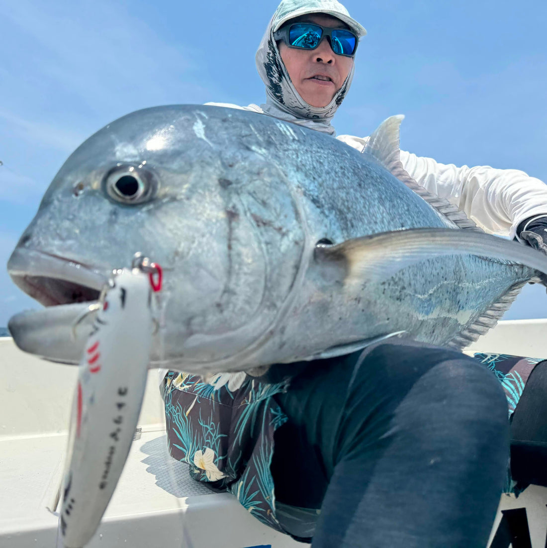 コトリ160｜小さなナブラから