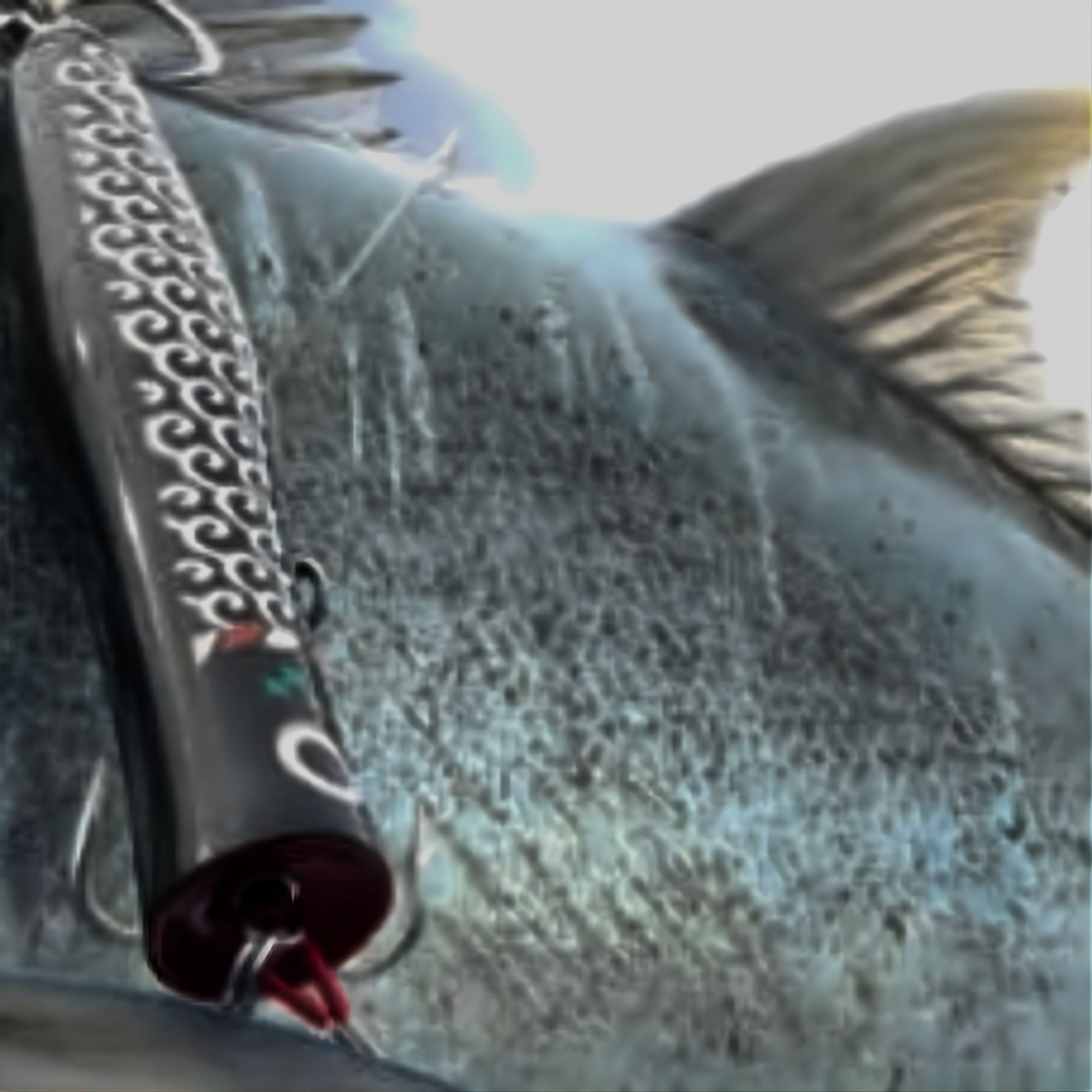 商品 – SkyGreyLures