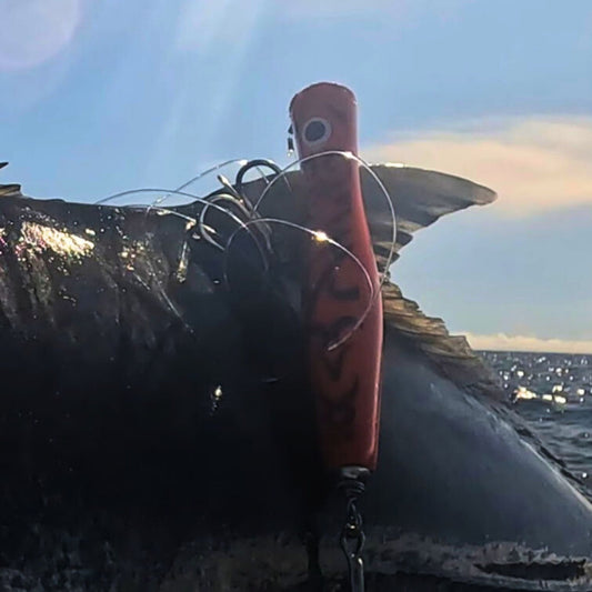 コイノボリポッパー200