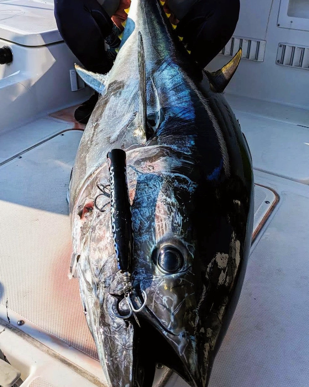 コイノボリポッパーモンスターツナ コイノボリポッパー230 モンスターツナ – SkyGreyLures