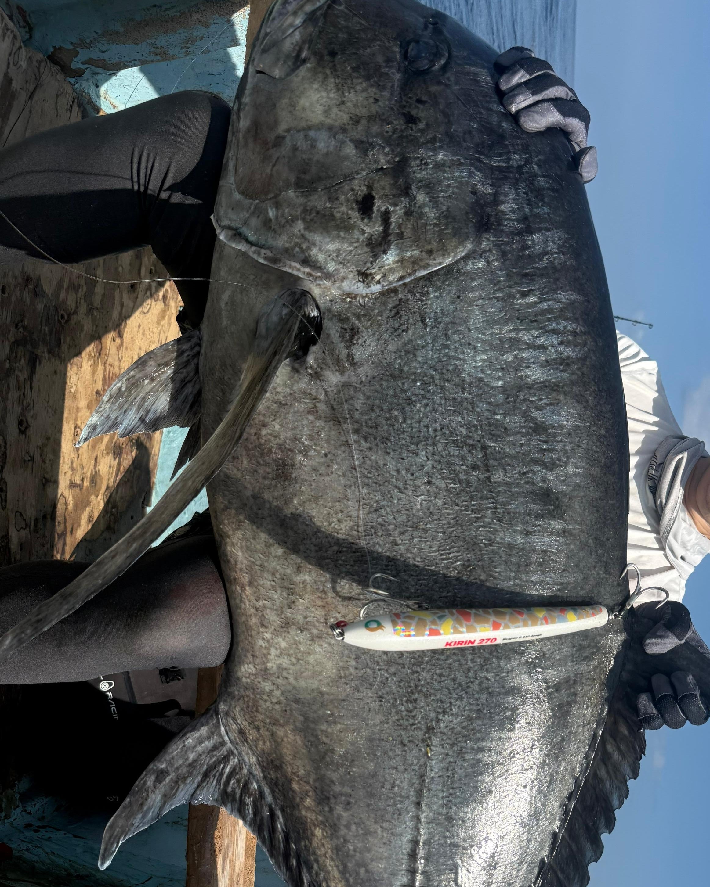 キリン270 – SkyGreyLures