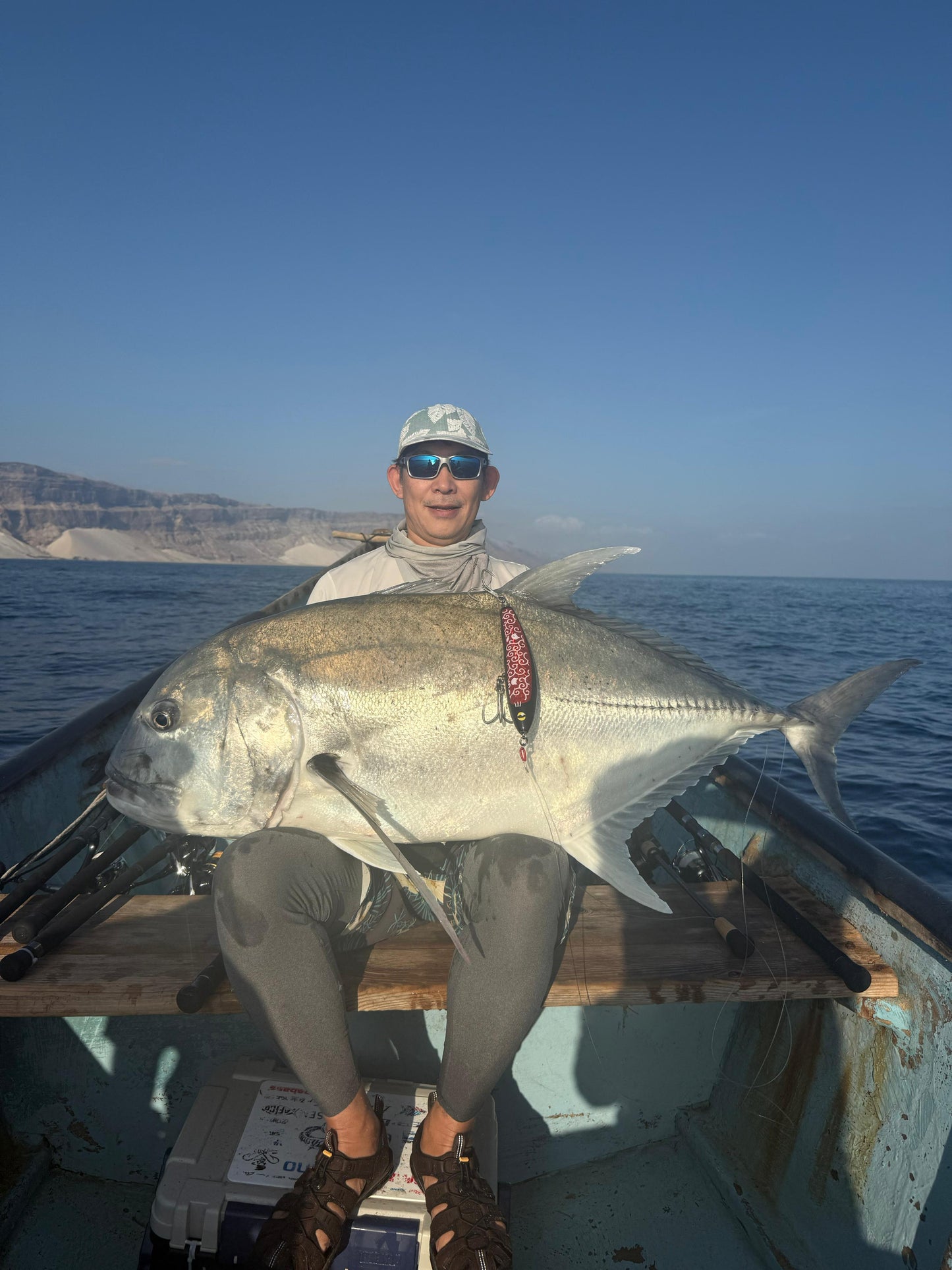 Debuneko 200 | デブネコ 200