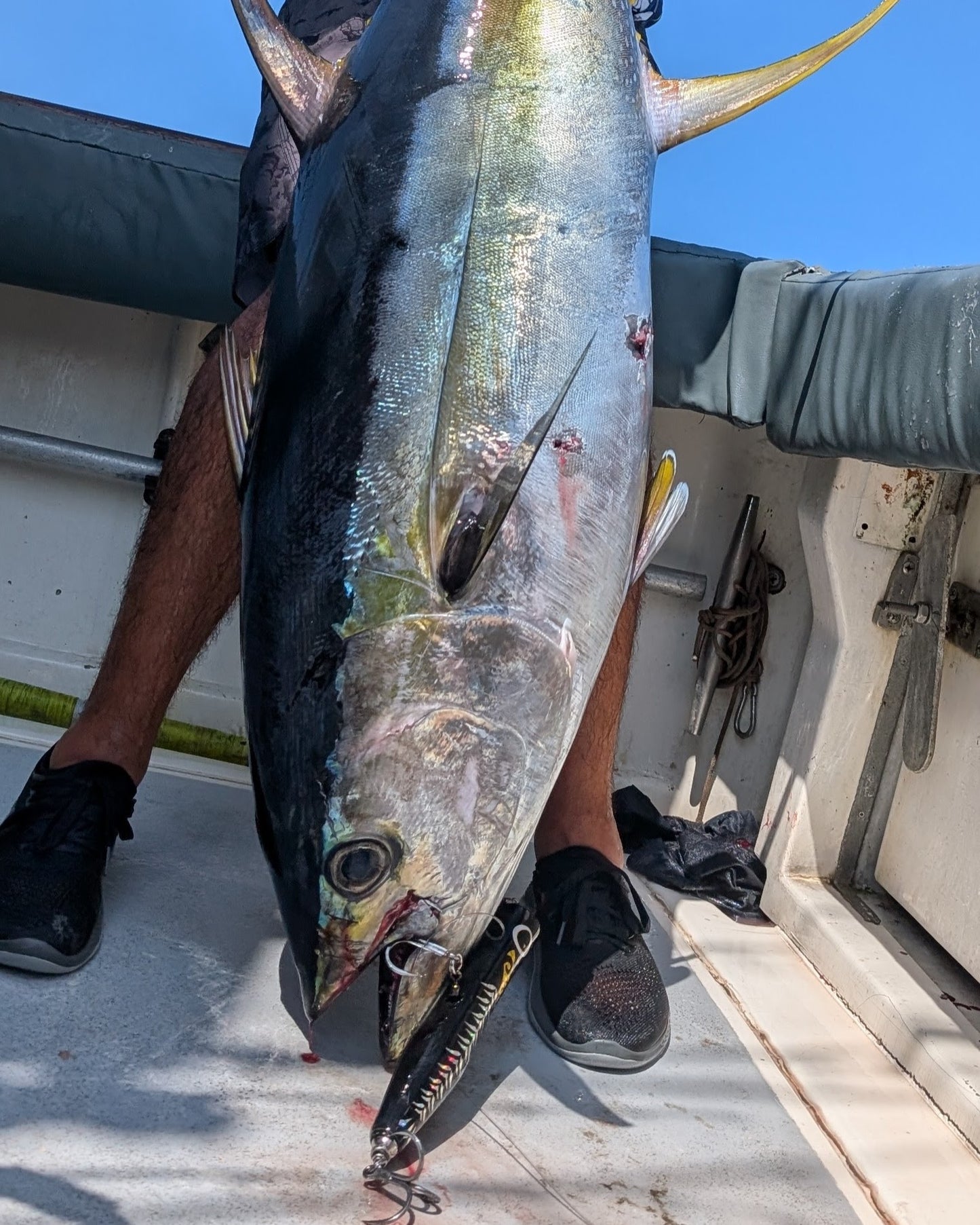 コイノボリポッパー230